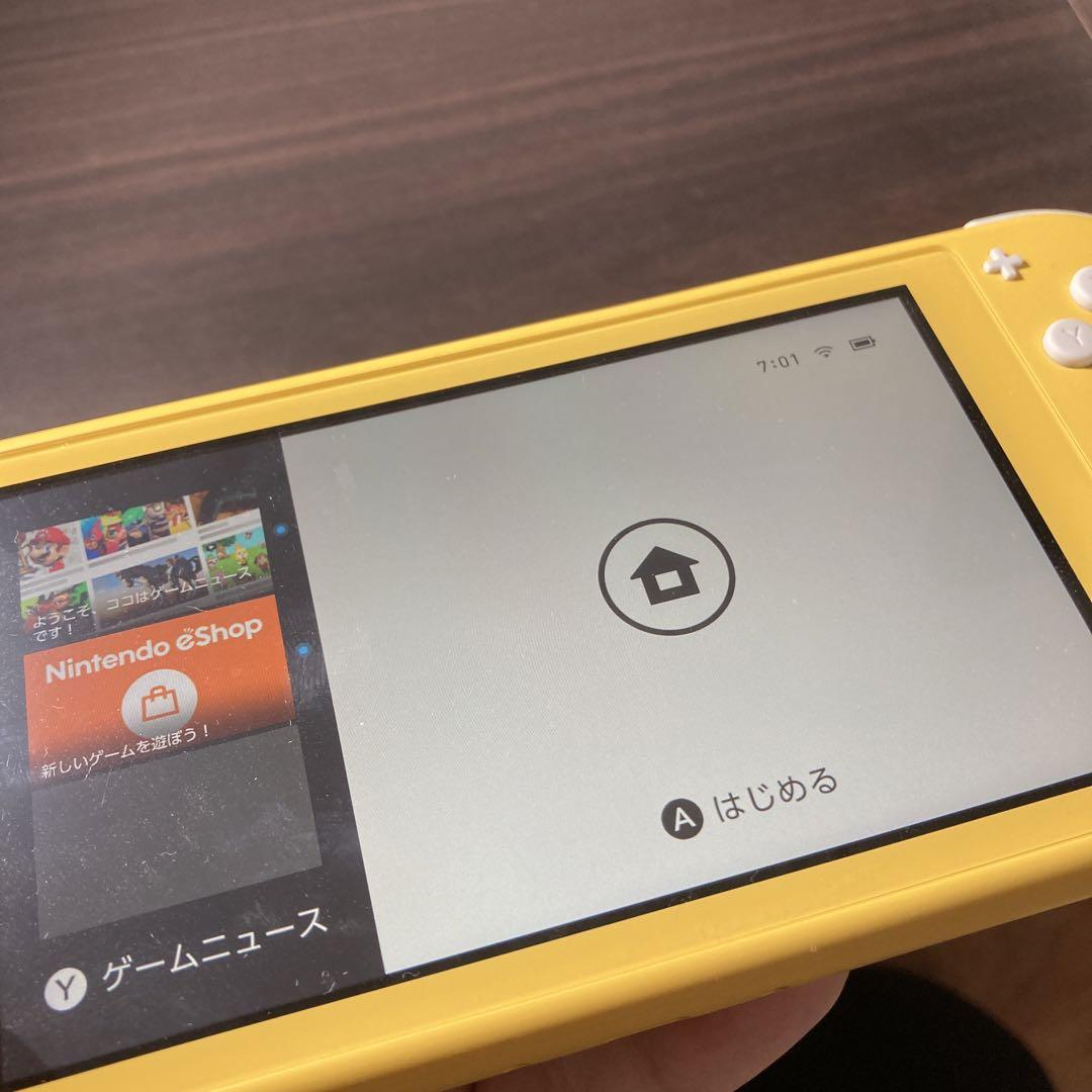 Switchライト ジャンク品
