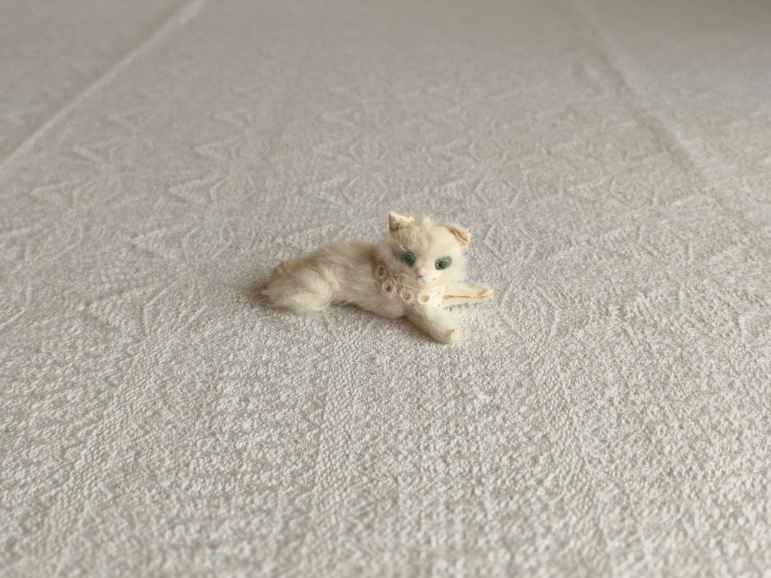 * vintage cat ୨୧ * クリーム色の毛並みが素敵な猫ちゃん a