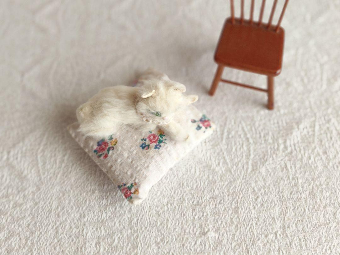 * vintage cat ୨୧ * クリーム色の毛並みが素敵な猫ちゃん a