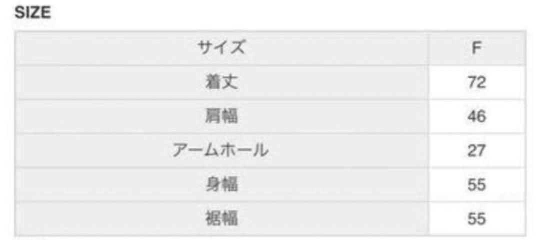 PHEENY フィーニー ナイロンオックスフィールドジャケットベスト