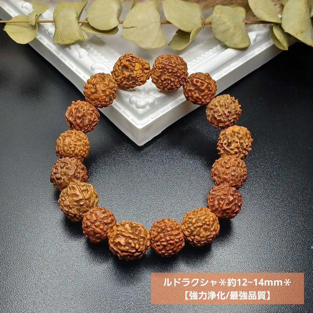 強力浄化/最強品質】ルドラクシャ＊約12~14mm＊ 菩提樹の実