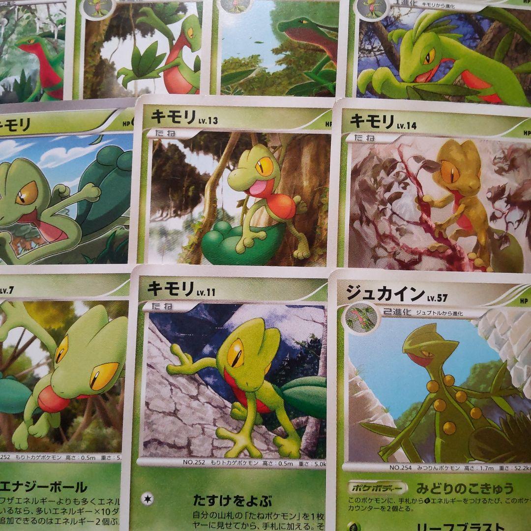 ポケモンカード キモリ ジュプトル ジュカイン 10枚セット ポケモンカード キモリ ジュプトル ジュカイン 10枚セット