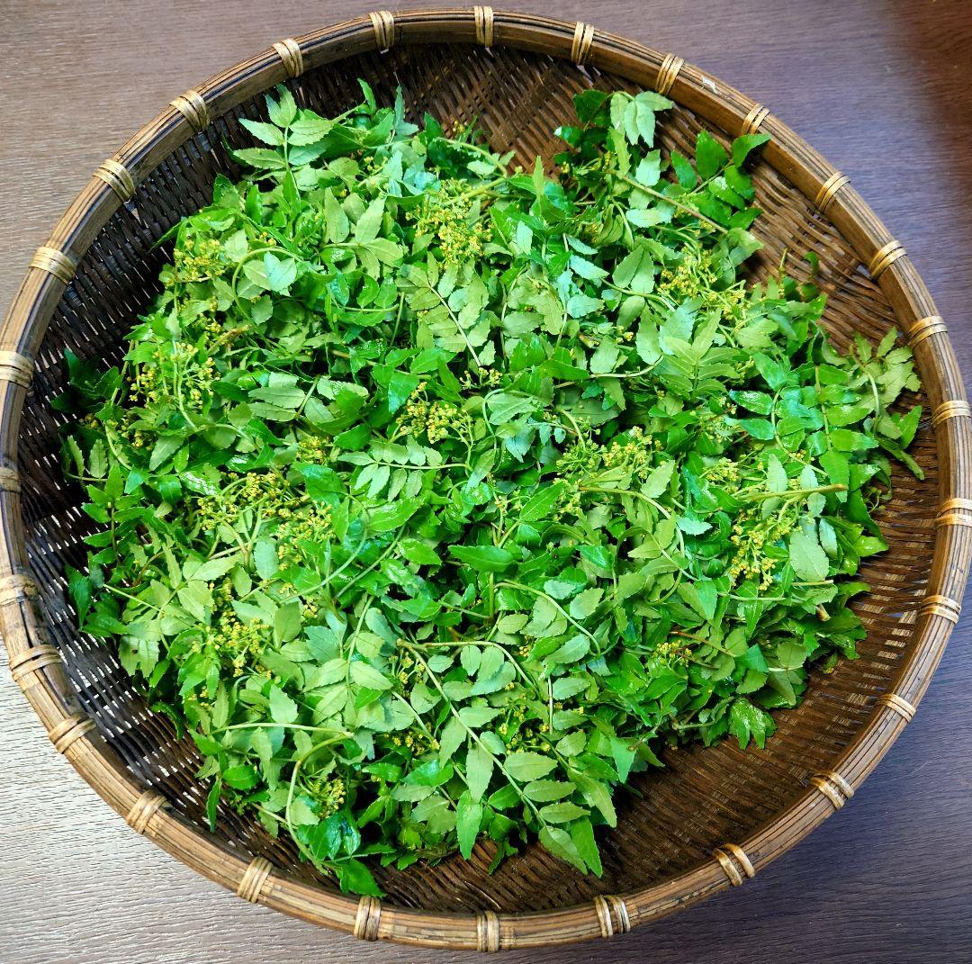 庭の花山椒120グラム 無農薬 本日発送 メルカリ便 - メルカリ