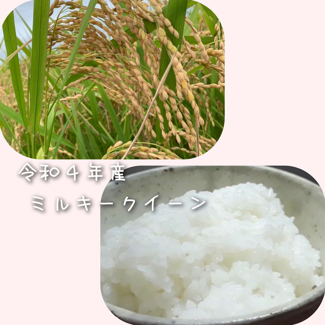 マオカ様専用です　　ミルキークイーン精米24kg