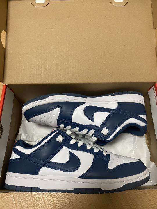 DUNK LOW Valerian Blue