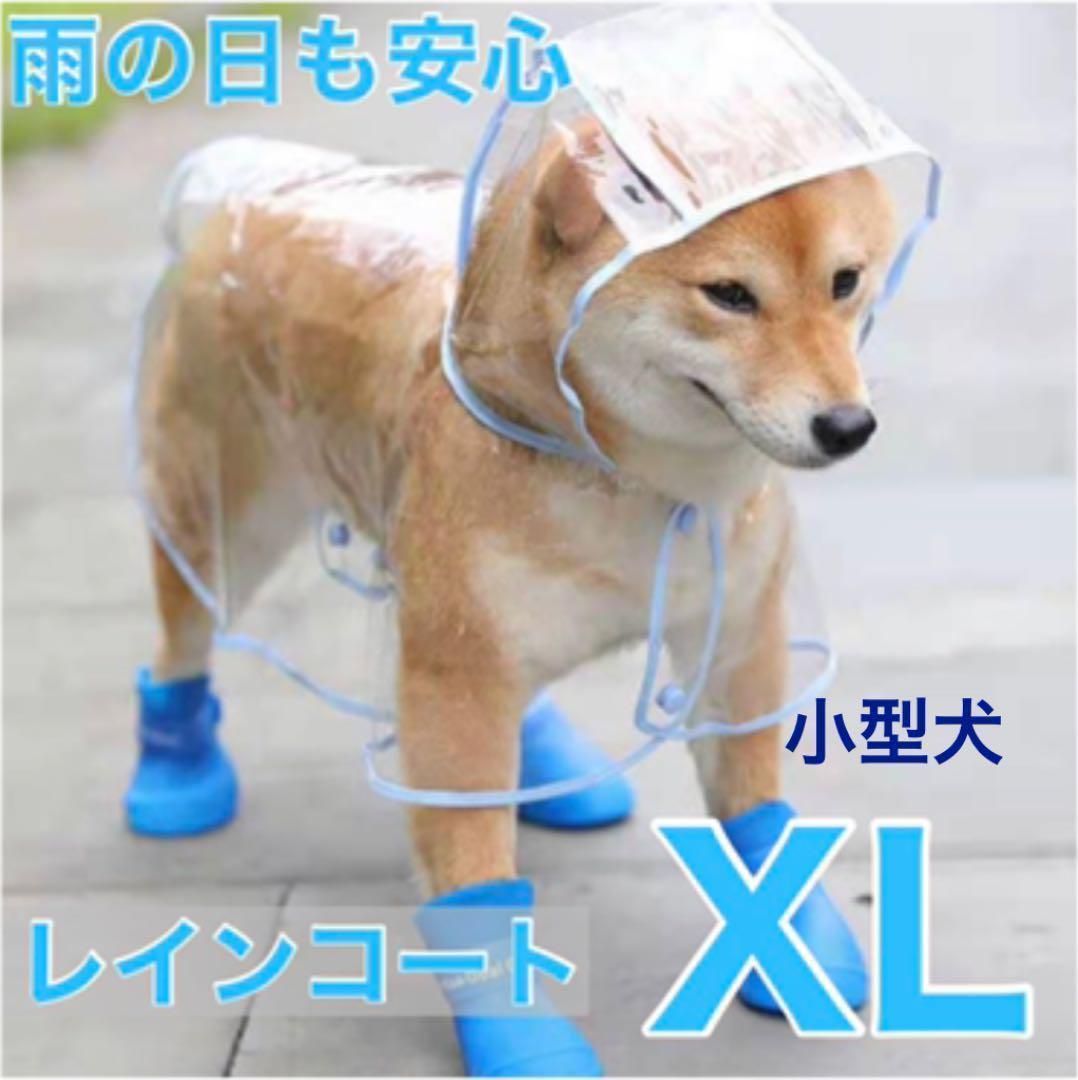 レインコート ポンチョ レインポンチョ 小型犬 ビニール 散歩 雨 メルカリ レインコート ポンチョ レインポンチョ 小型犬 ビニール 散歩 雨 メルカリ