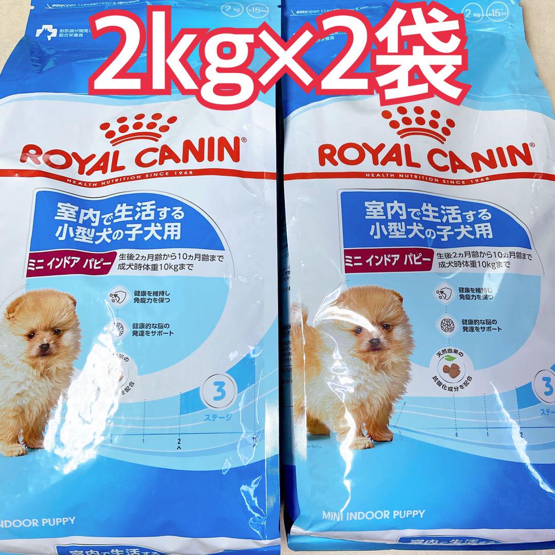 ロイヤルカナン ミニ インドア パピー 2kg 2袋 子犬 総合栄養食
