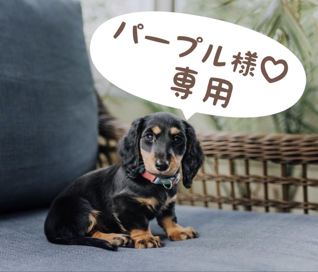 パープル様♡専用
