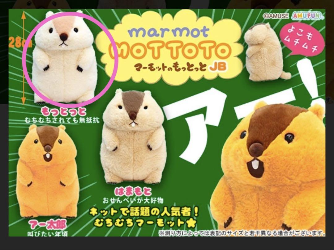 マーモットのもっとっと ぬいぐるみ JB もっとっと 1点 - メルカリ