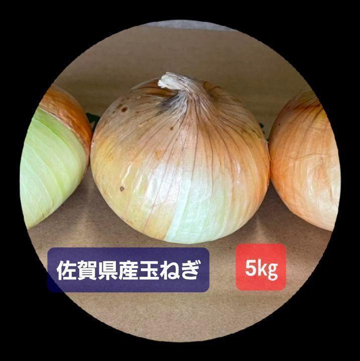 佐賀県産玉葱5kg 新玉ねぎ5 - メルカリ