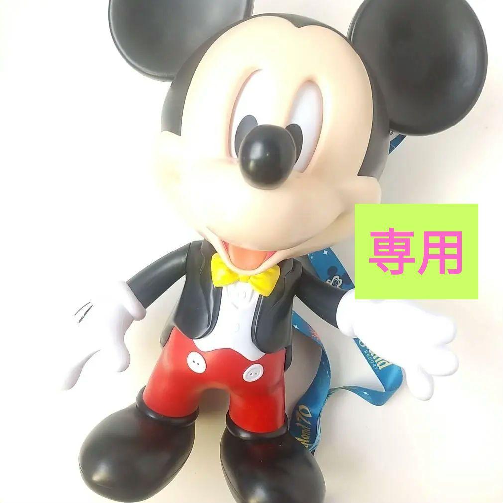 【 MC☆さま専用 】ディズニーランド 70周年限定 ポップコーンバケット