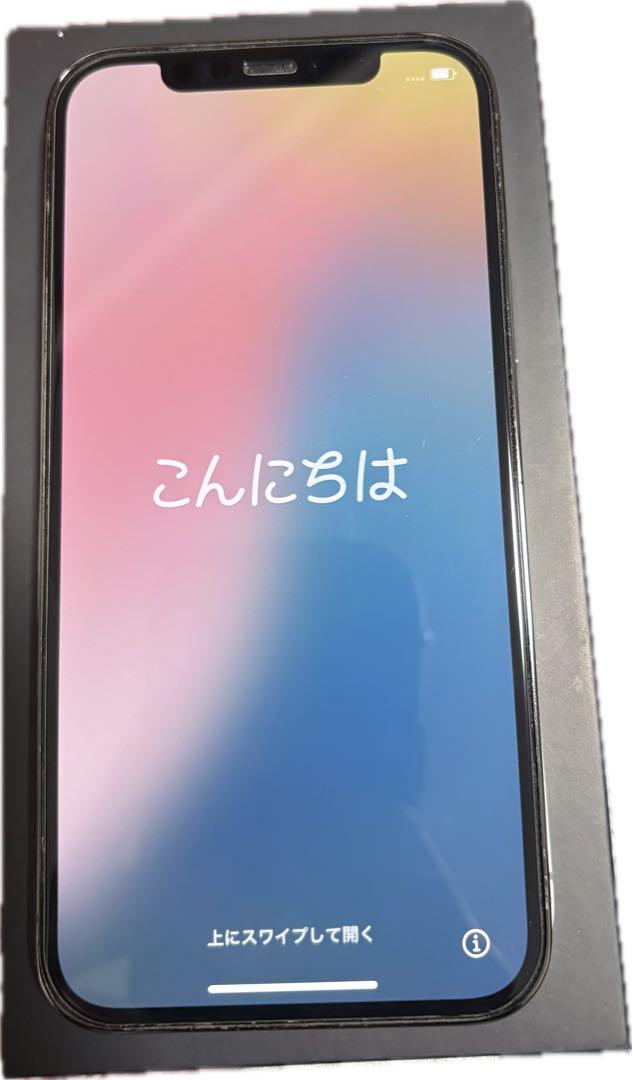 iPhone 12 Pro 256GB - グラファイト