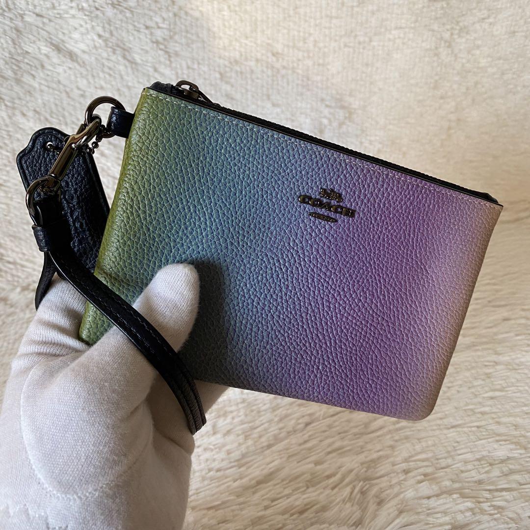 楽天市場】COACH コーチ 72893G リスレット ポーチ マルチケース