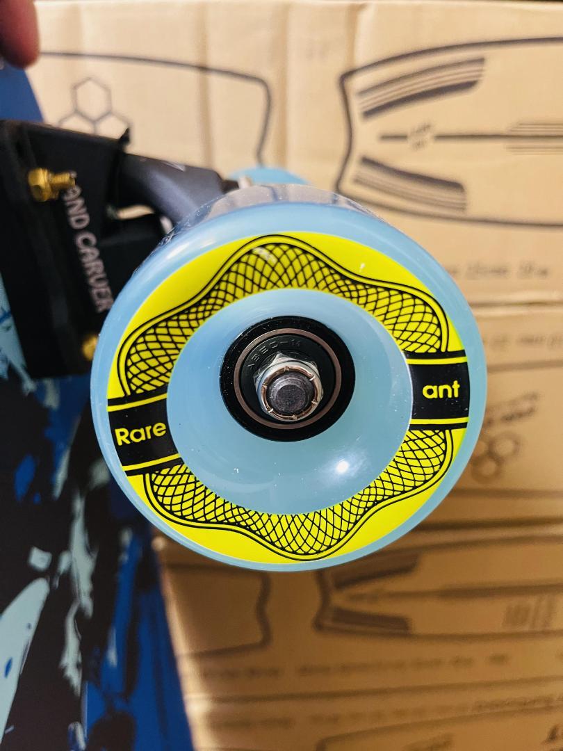 最新作 Rare Ant×Land Carver ランドカーバー サーフスケート スケートボード