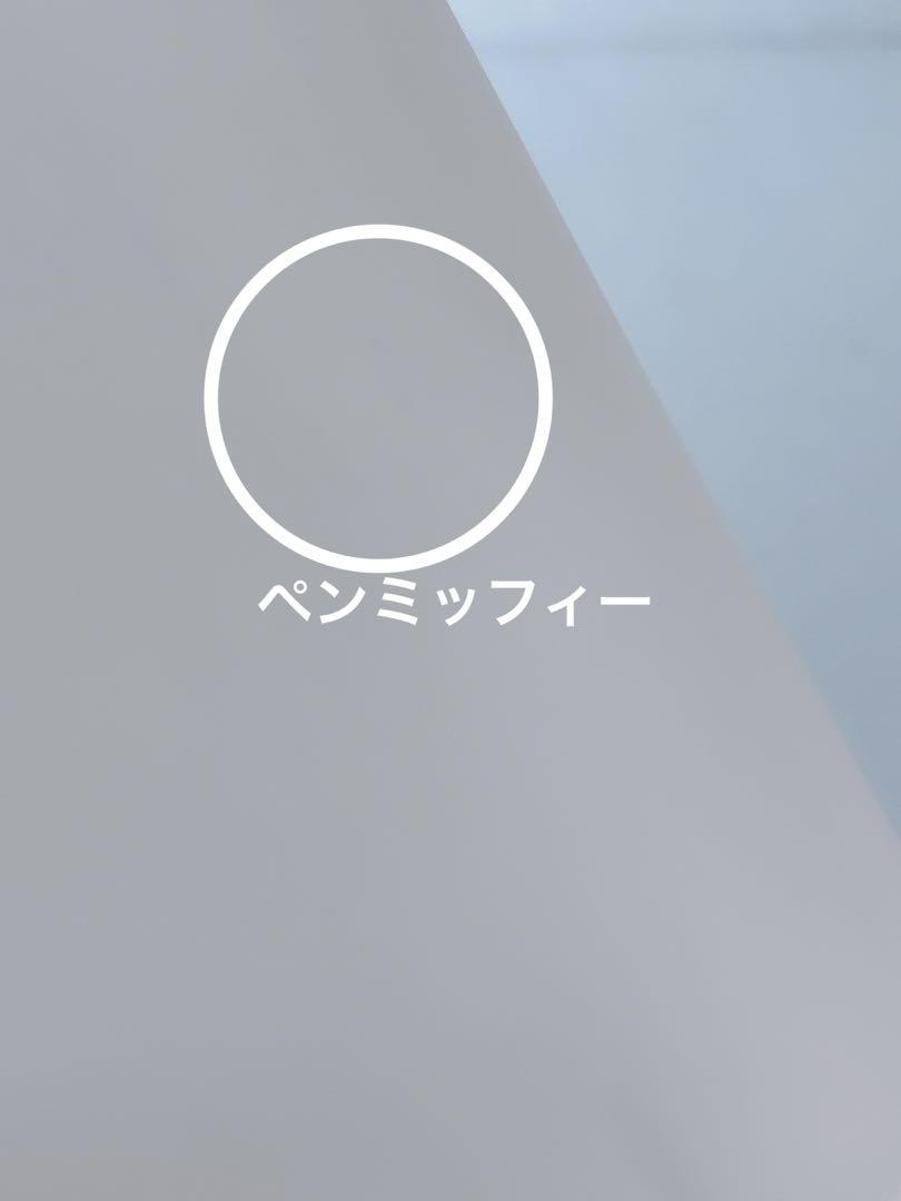 studioCLIP ミッフィー 蓋付き収納ケース 収納ボックス 2個セット