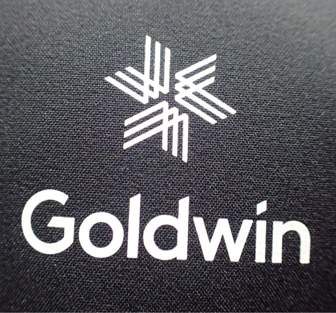 Goldwin ゴールドウィン ダウンジャケット THE NORTH FACE 画像6