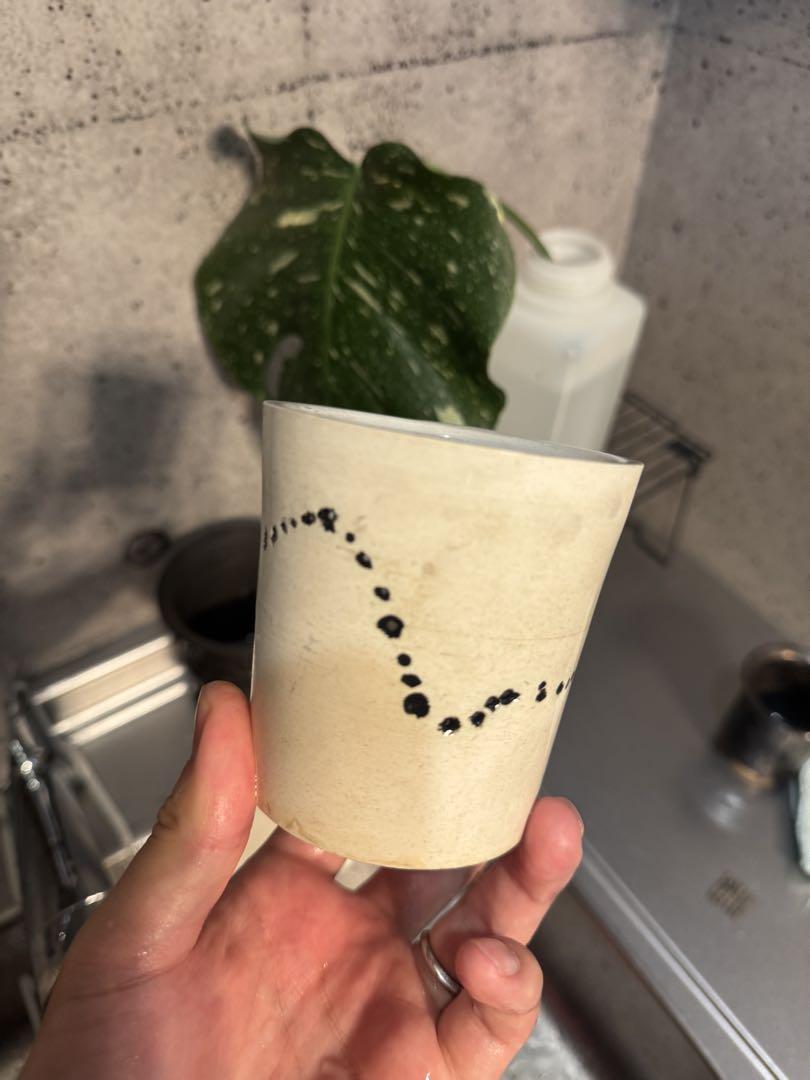 陶器鉢セット