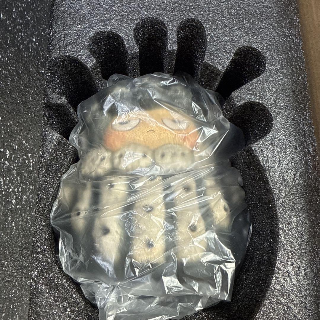 未使用新品 Vin x Robin Huang POH Copiapoa 羅本