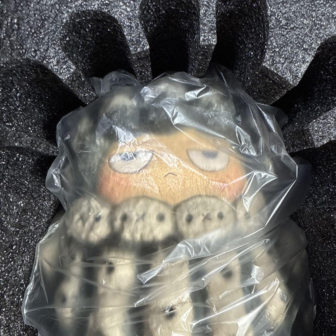 未使用新品 Vin x Robin Huang POH Copiapoa 羅本