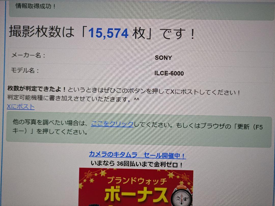 Sony α6000 ミラーレス一眼 ダブルズーム＋おまけ