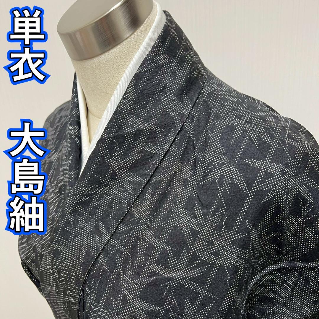 KL3018 単衣 大島紬 身丈159cm 着物 正絹