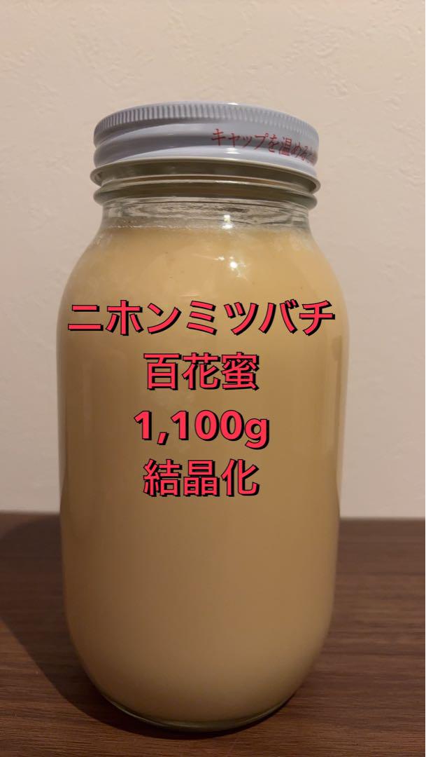 ニホンミツバチ 百花蜜 1,100g 結晶化 その他