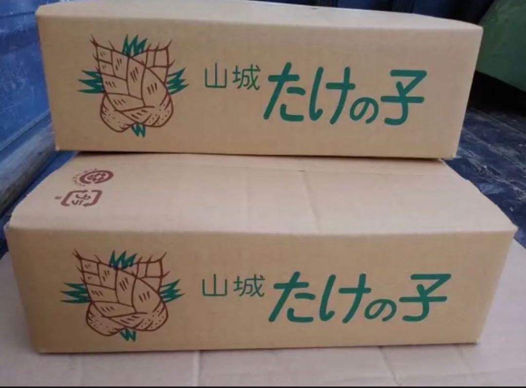 京都府山城産白子タケノコ6キロ
