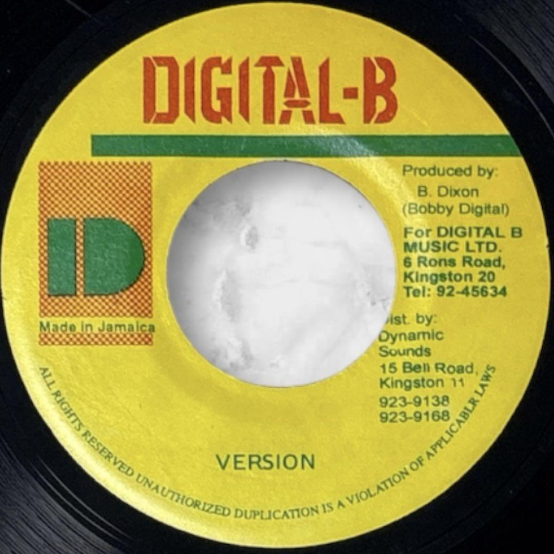 レゲエ THINGS A GWAN Ninjaman Digital B - メルカリ
