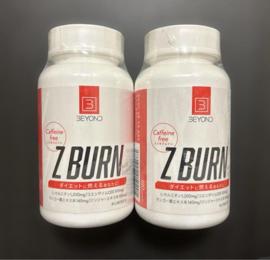 BEYOND Z BURN 180粒