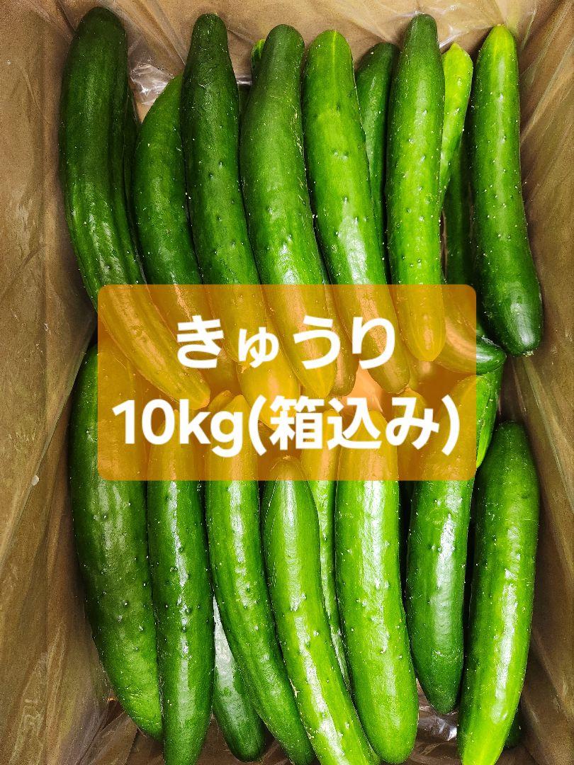 天然自然薯（折れ） | sinmori