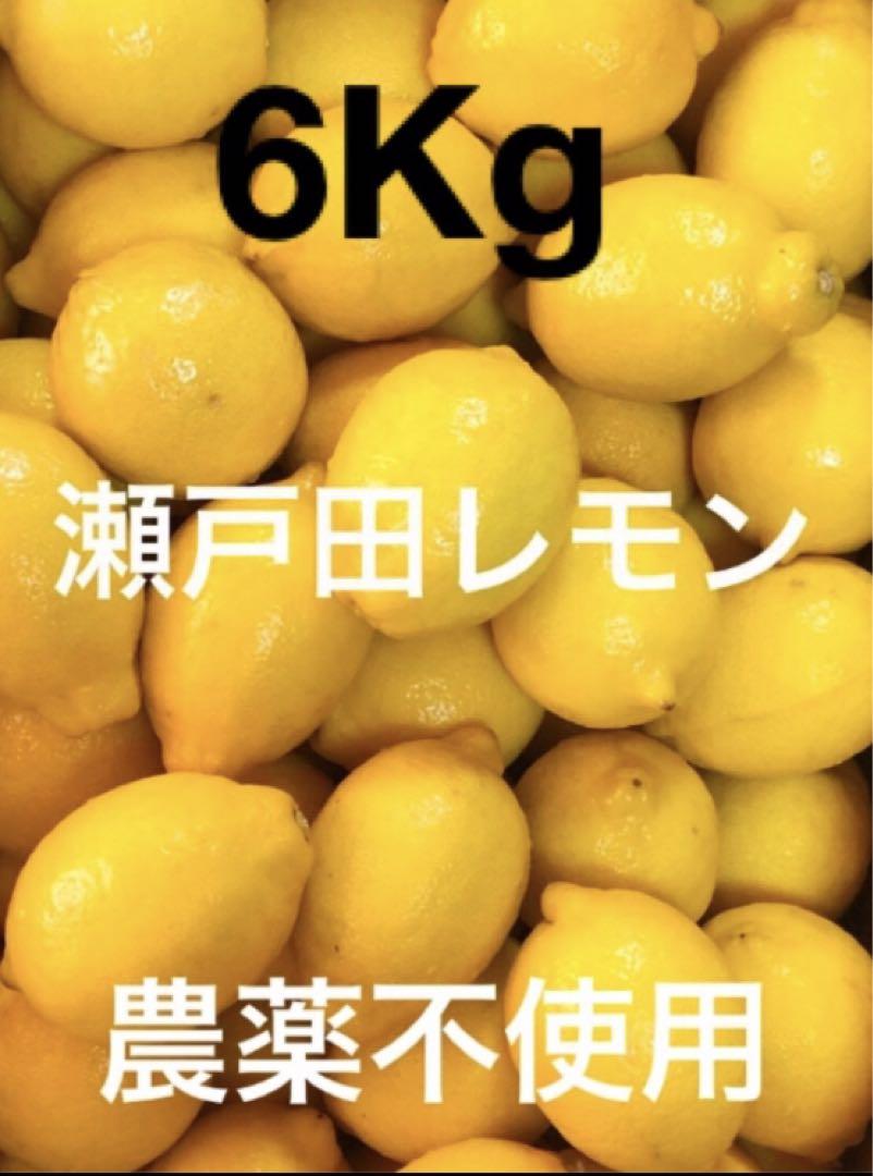 Ⅰ国産瀬戸田レモン6㎏