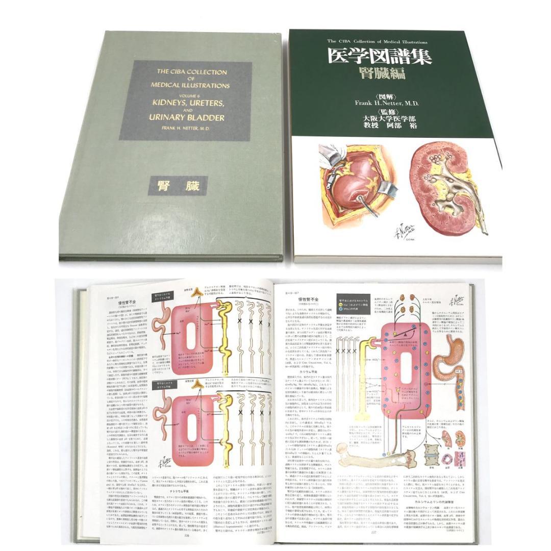 Netter 医学図譜集 9冊まとめて 丸善