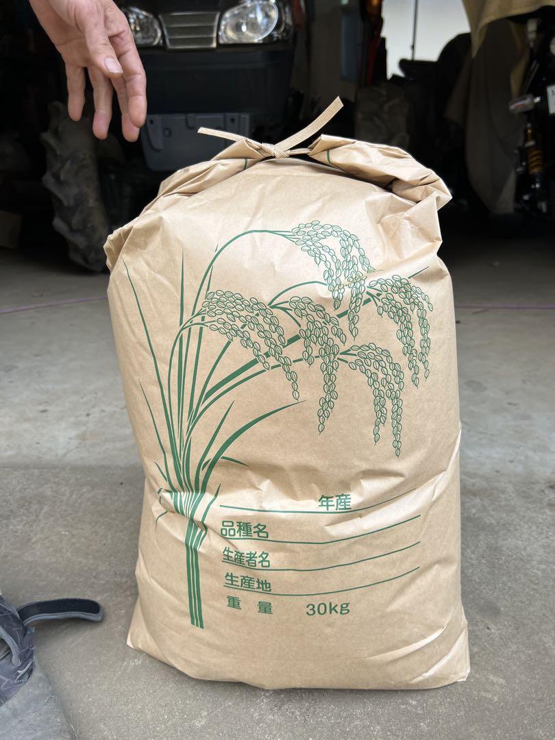 玄米 令和6年度産 茨城県産 コシヒカリ 30kg米・雑穀・粉類