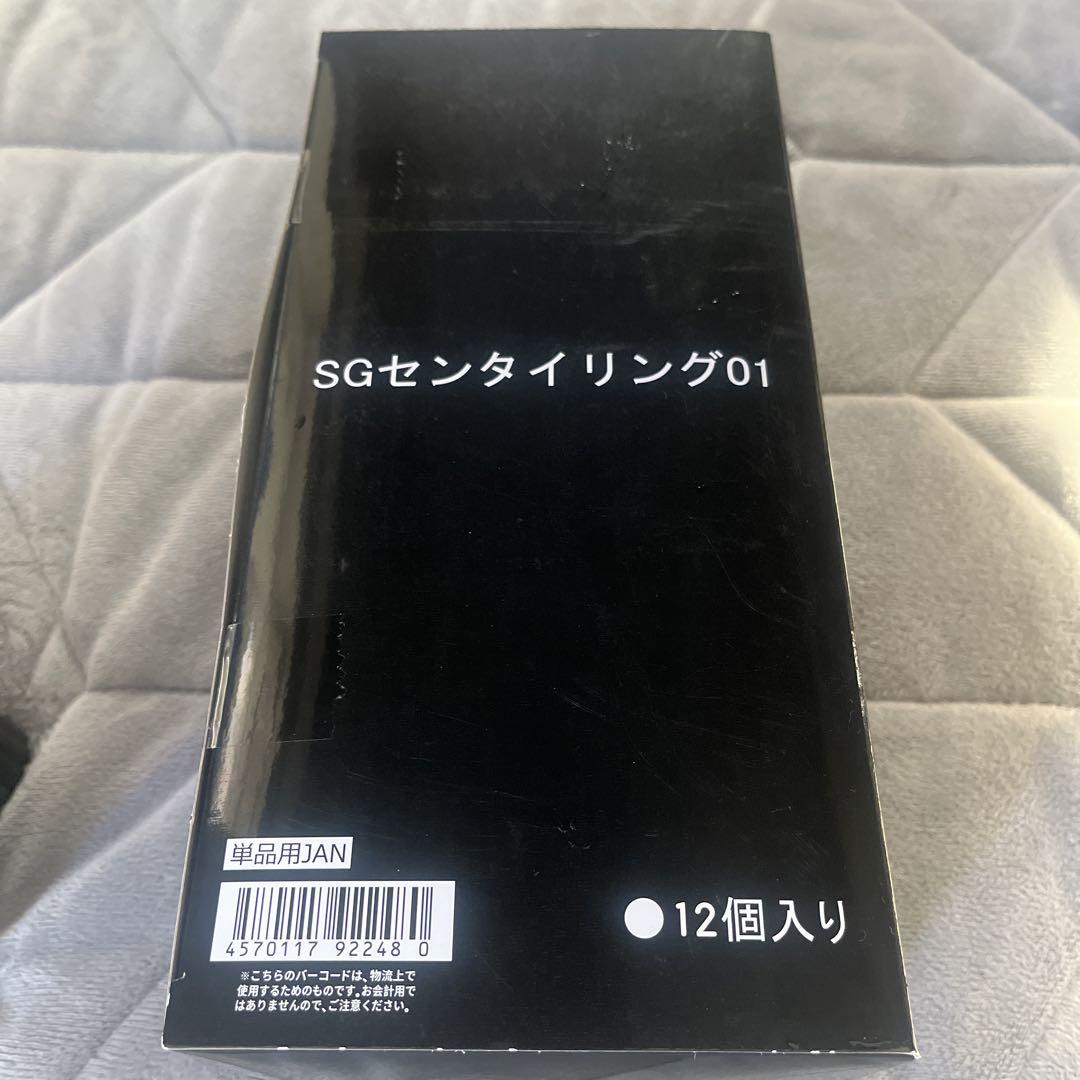 SGセンタイリング01 1BOX