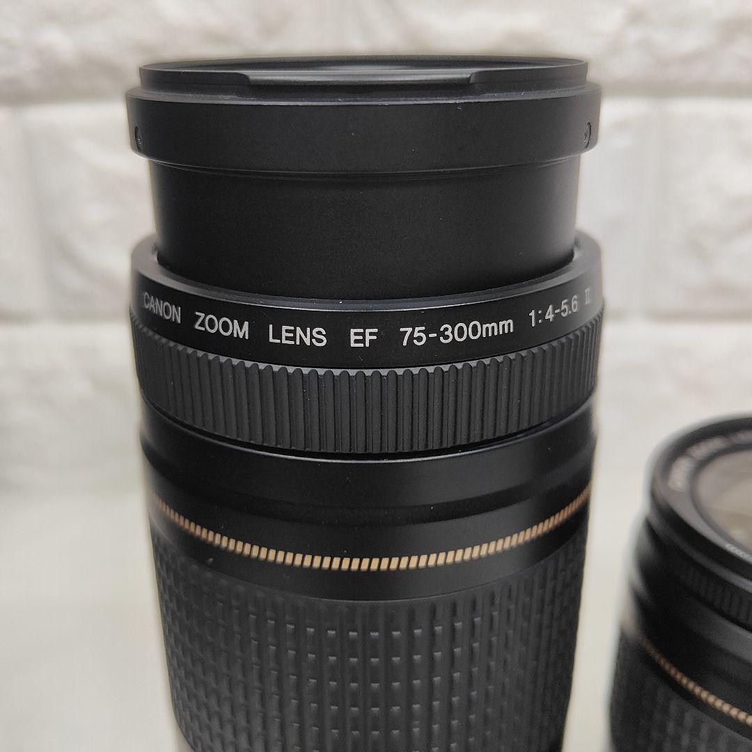 Canonレンズ等セット EF 75-300mm Ⅱ EF 28-80mm Ⅳ