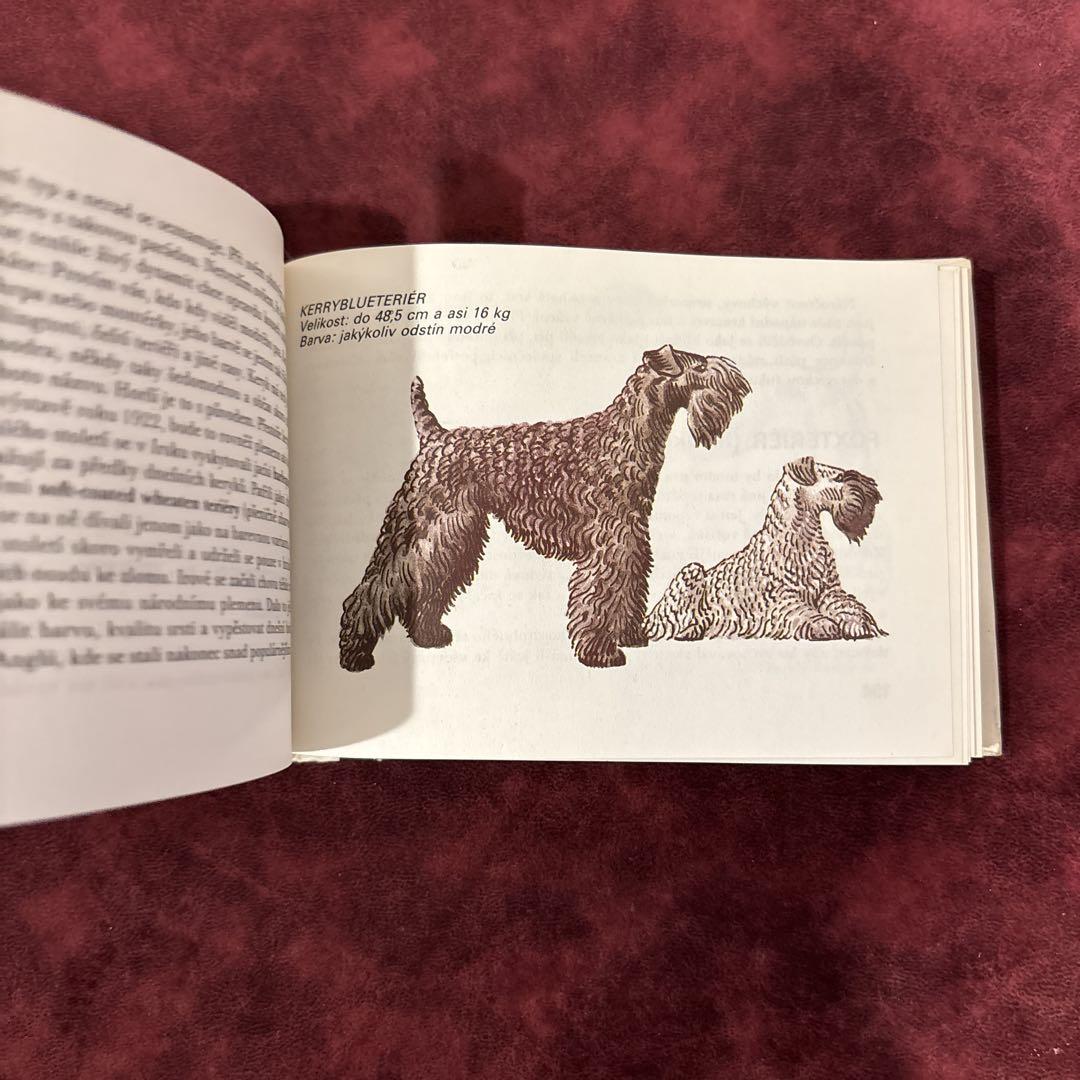 ❤️ あき 610B④イヌ図鑑　洋書　古書　ボタンニカルアート　イラスト 610B④イヌ図鑑 洋書 古書 ボタンニカルアート イラスト - メルカリ