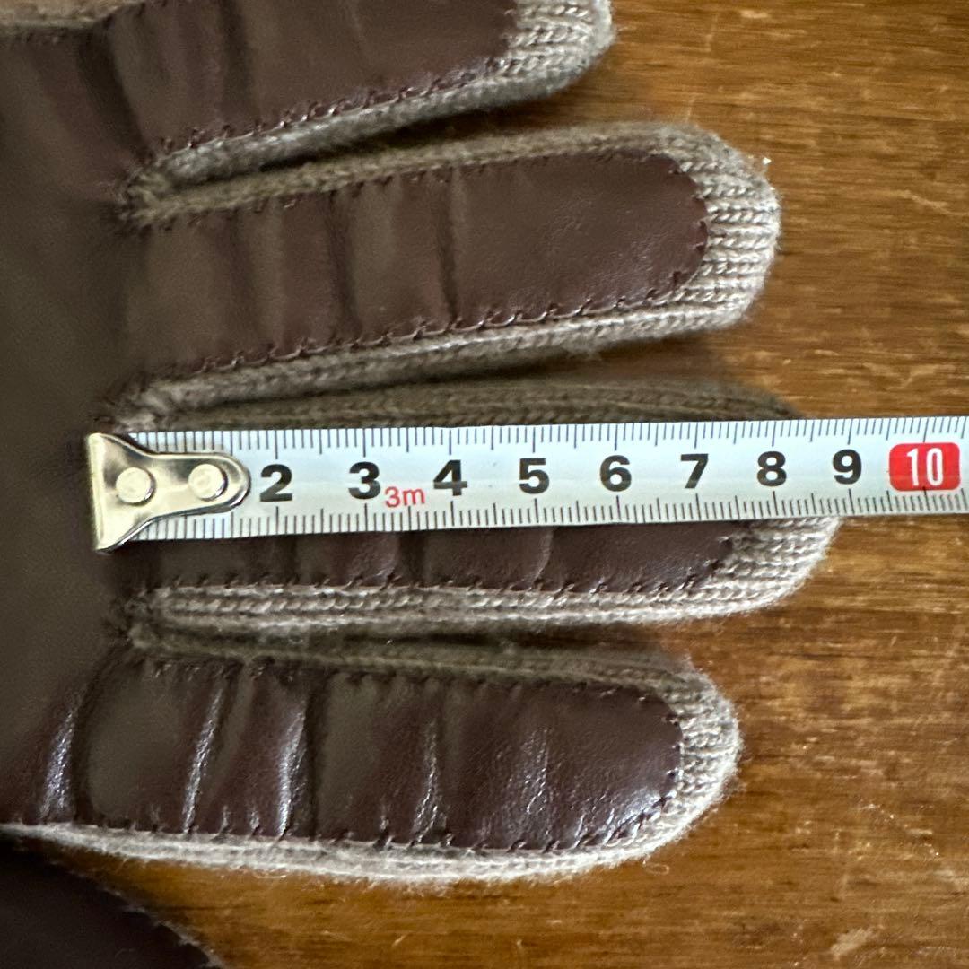 Papas×ALPO Papas×ALPO