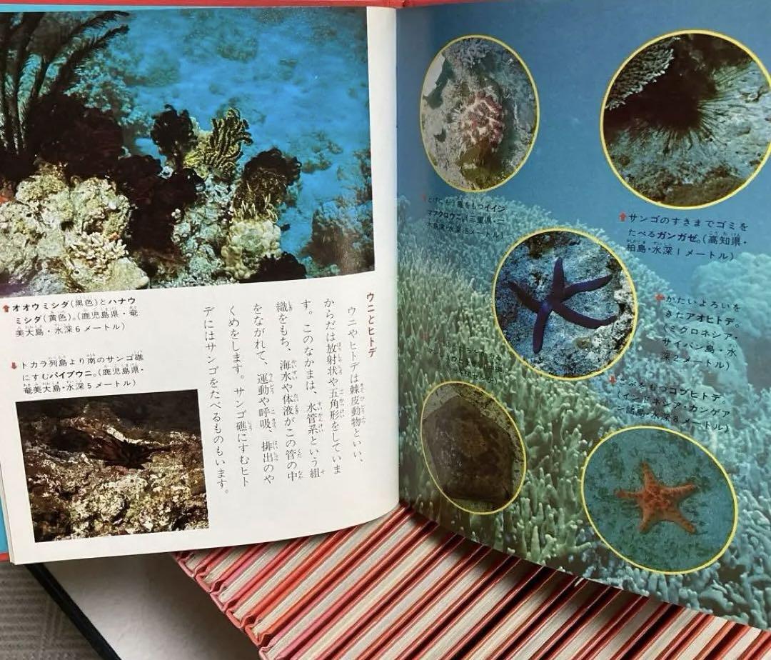 科学のアルバム　あかね書房 47冊セット 2025年最新】科学のアルバムあかね書房の人気アイテム - メルカリ