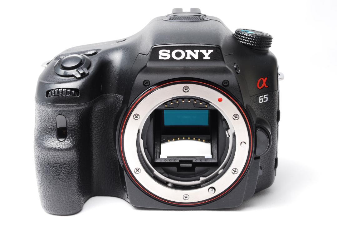 ✨日常が芸術に変わる✨SONY α65✨ダブルレンズ✨高速AF✨ソニー