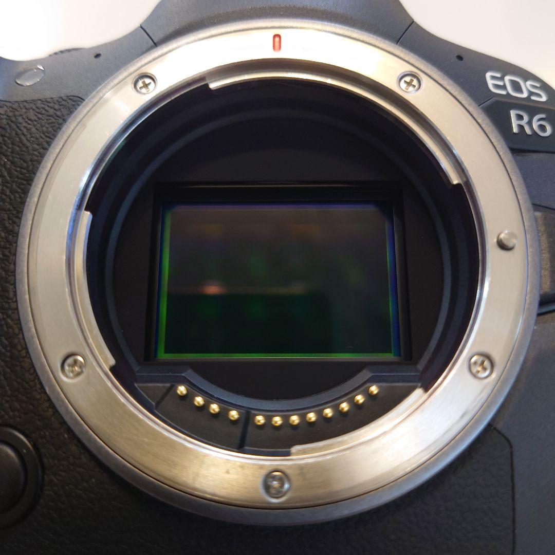 Canon EOS R6 本体 充電器付き