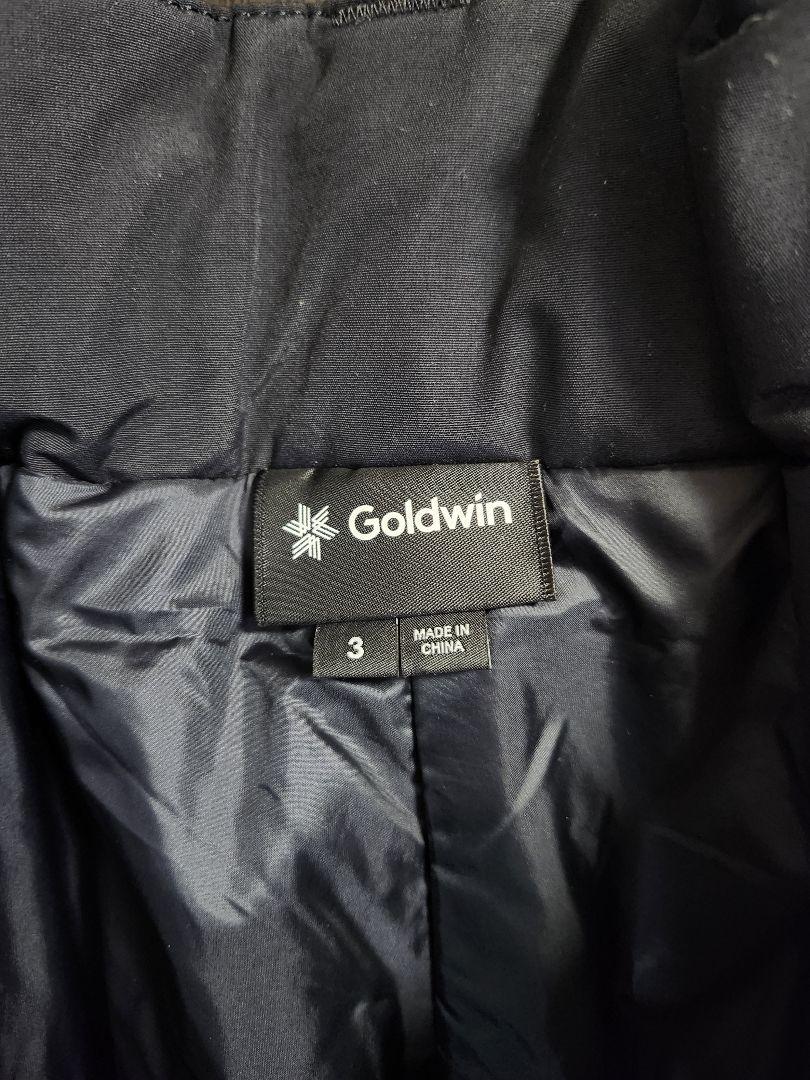 驚きの値段で GOLDWIN ウィンタースポーツ スキーウェア Pants 2レイヤー GORE-TEX スキー