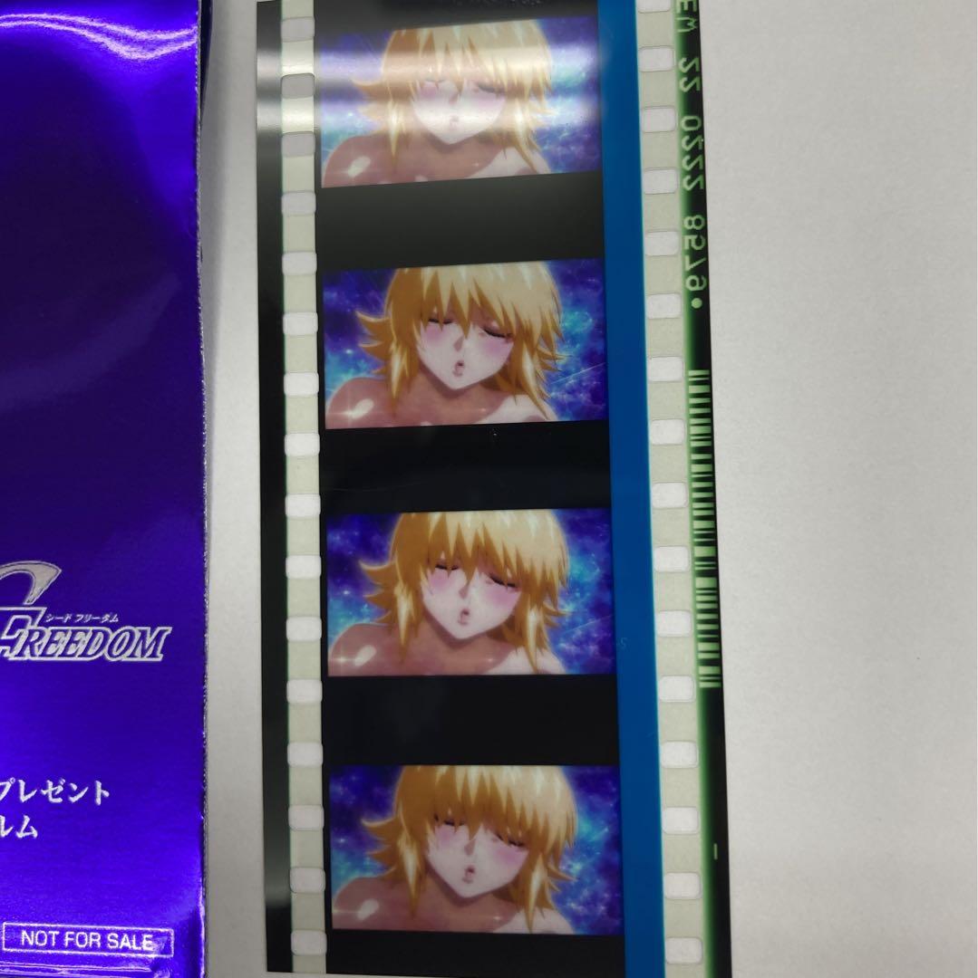 機動戦士ガンダムSEED FREEDOM 特典　カガリ