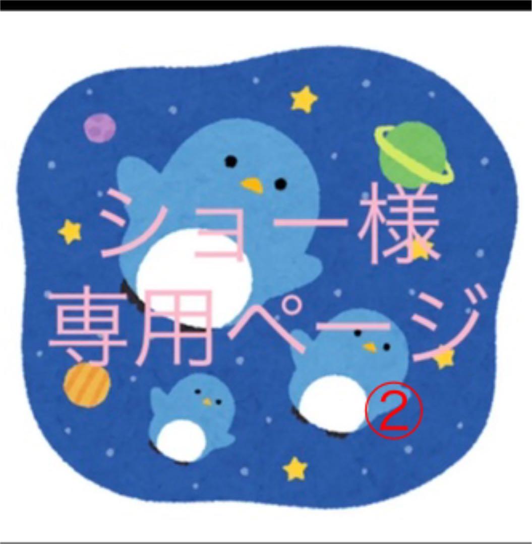 ゆうゆうメ ショーさま 専用ページです(^_-)-☆ agyXL-m45997144746