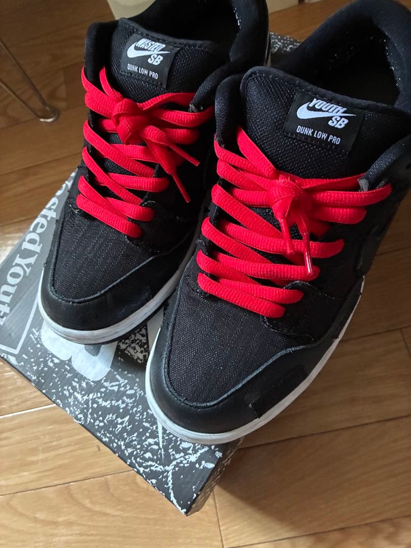 スペシャルボックス✨Wasted Youth × NikeSB Dunk Low