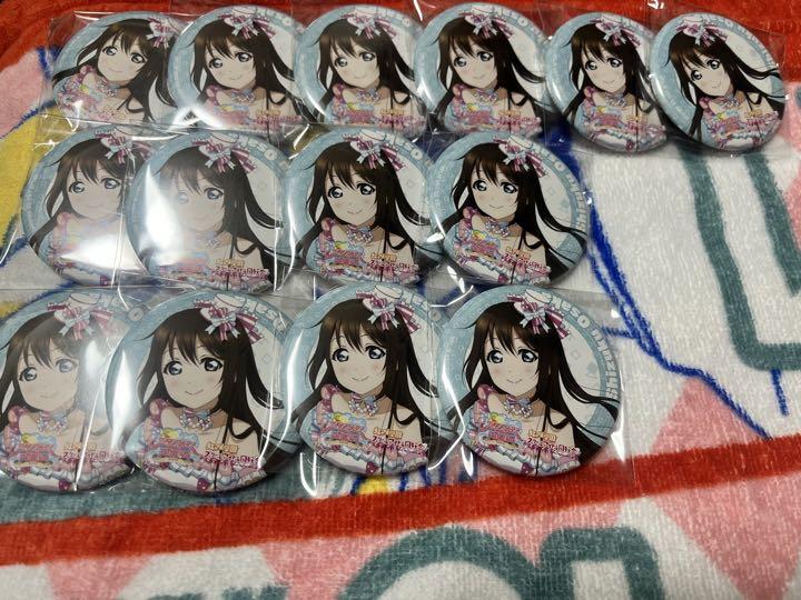 ラブライブ 虹ヶ咲学園 桜坂しずく 缶バッジ⑥ - protekseg.com.br