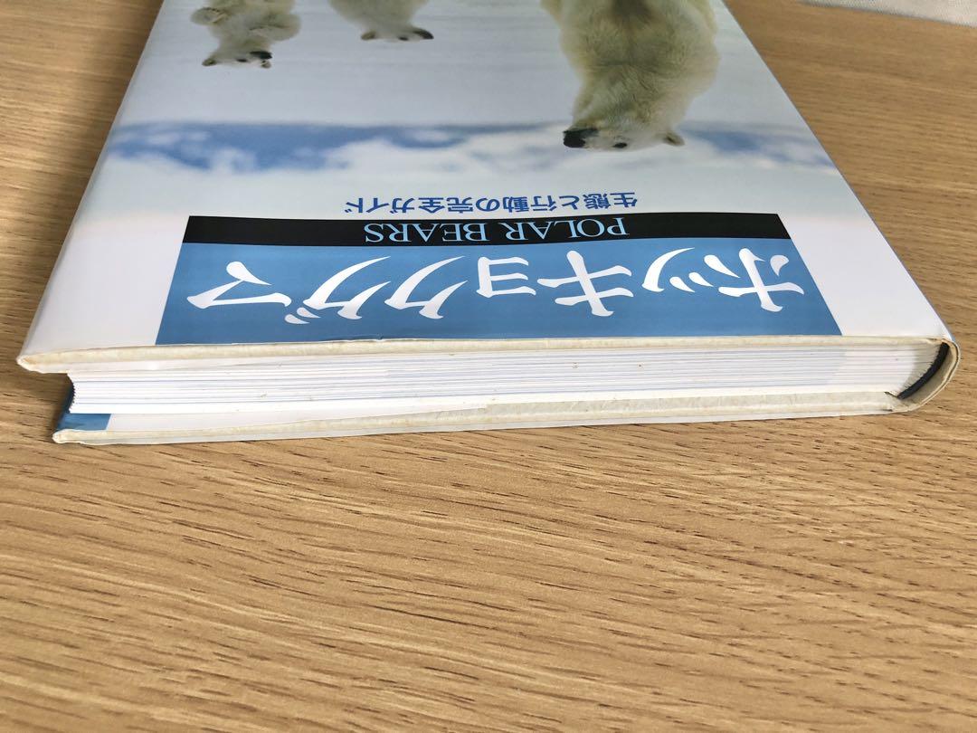 ホッキョクグマ 生態と行動の完全ガイド