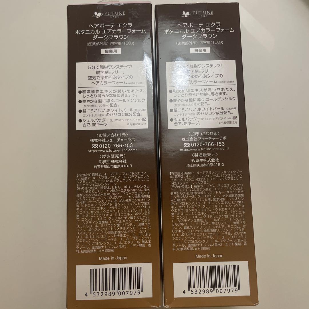 ヘアボーテエクラ　ボタニカル　カラーフォーム　ダークブラウン150g×2本セット