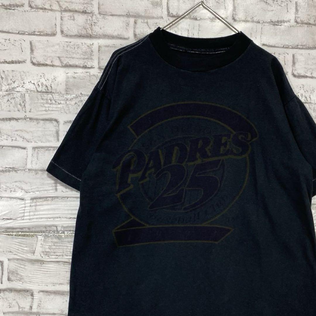 USA製 80s 90s Tee 半袖Tシャツ 女神 シングルステッチ G345 USA製 90s 80s ヴィンテージTシャツ シングルステッチ 襤褸 D698
