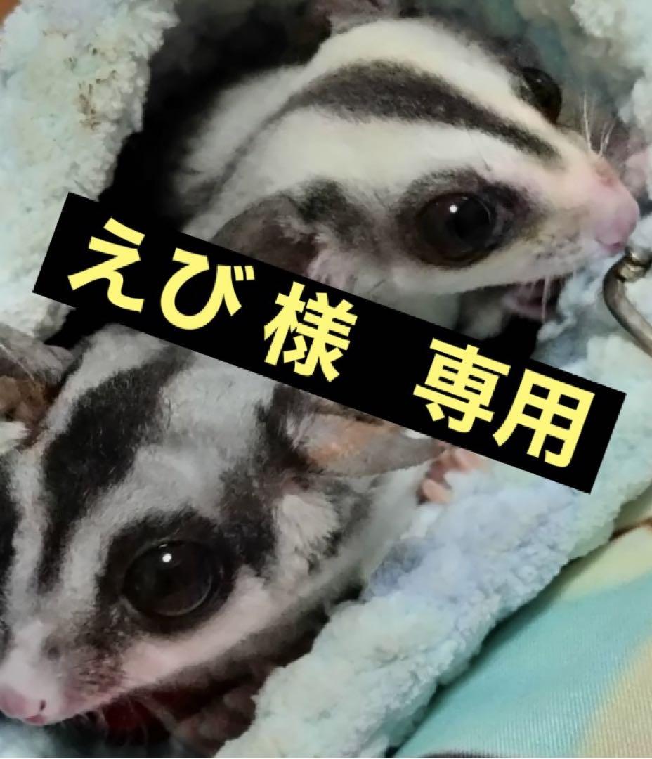 モモンガフード パウダーフード クラッシュフード 500g - メルカリ