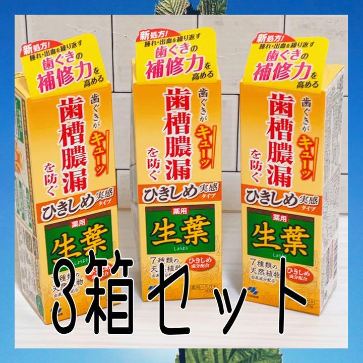 小林製薬 生葉 新品 ひきしめ実感タイプ ×3箱セット 100g 歯槽膿漏を防ぐ その他 人気のファッションブランド! - www.buffetmegaue.com.br 小林製薬 生葉 新品 ひきしめ実感タイプ ×3箱セット 100g 歯槽膿漏を防ぐ その他 人気のファッションブランド! - www.buffetmegaue.com.br